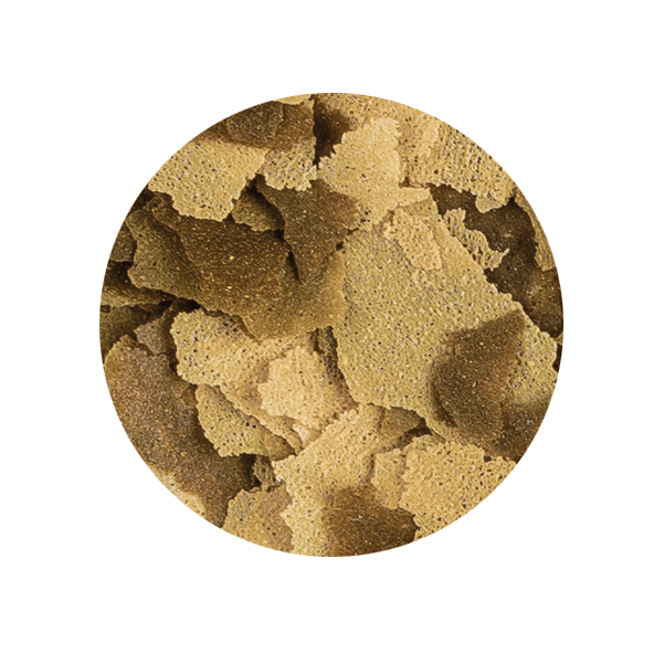 テトラフィン | PETBOXオンラインストア