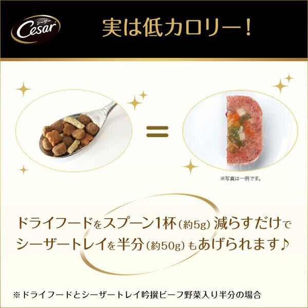 シーザー 吟選ビーフ ローフタイプ シリーズ 100g | PETBOX 