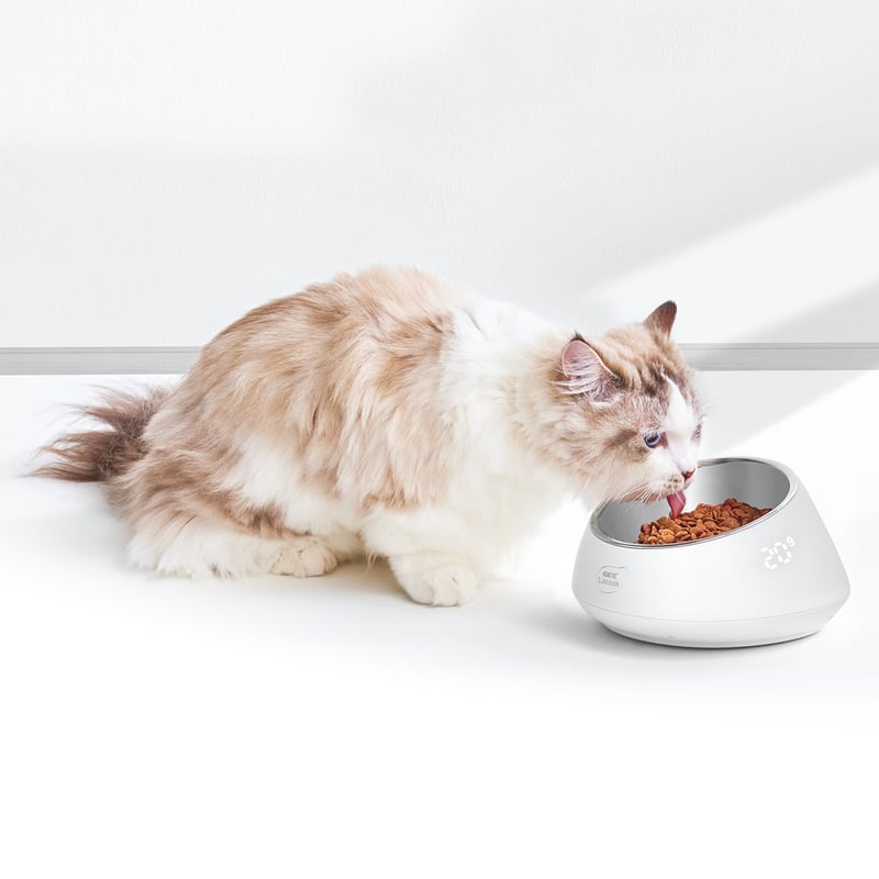 Lacook スケールボウル 約500ml | PETBOXオンラインストア