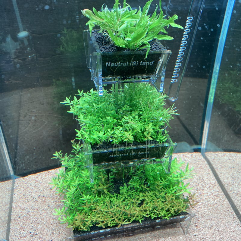 【新品】プレートツリー① シンワ測定(Shinwa Sokutei) 冷蔵庫用デジタル温度計 A 最高