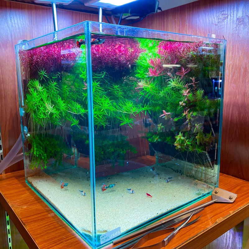 Neutral（S）tand アースハンガー | PETBOXオンラインストア