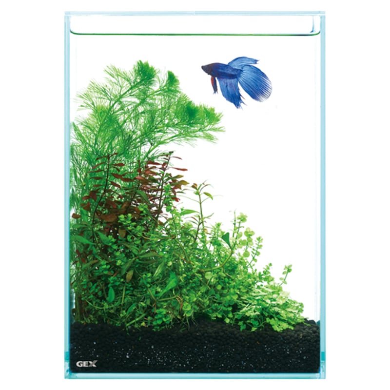 グラステリア フィット200H | PETBOXオンラインストア