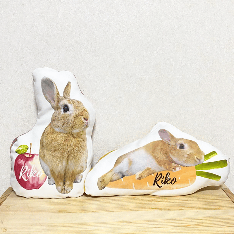 オーダーメイド】 うちのこグッズ | PETBOXオンラインストア