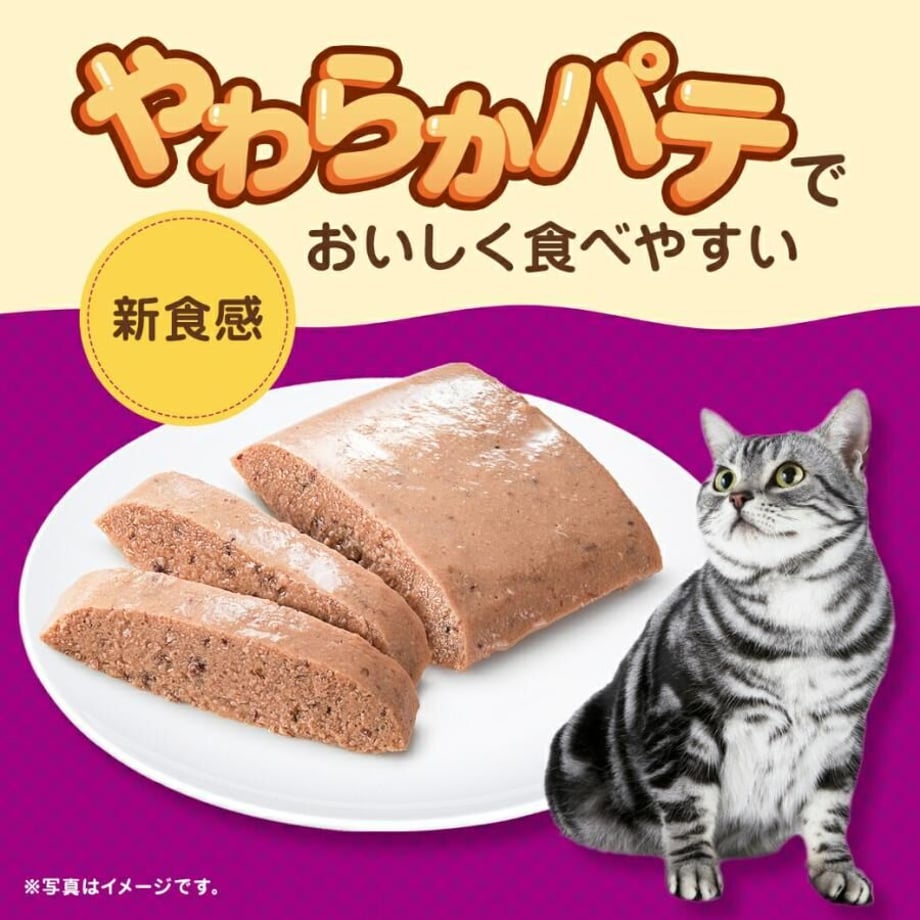 64f943d2f00a1f002aab873c