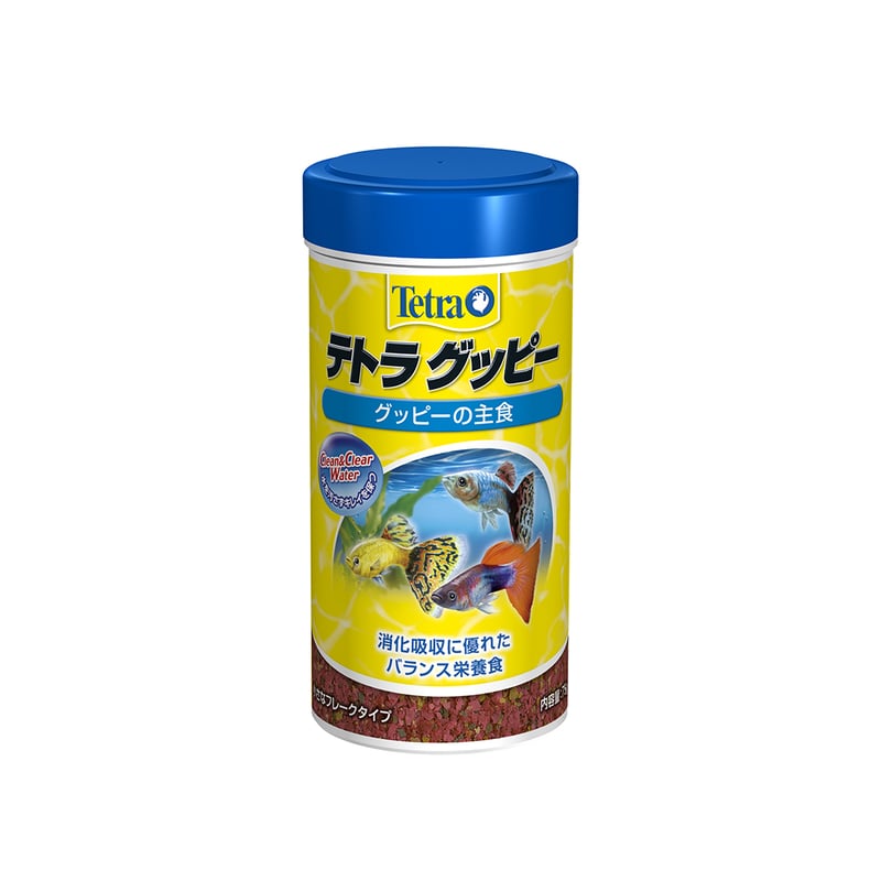 TETRA テトラ　グッピー　75g 6個　グッピーの主食 テトラ グッピー 30g | PETBOXオンラインストア