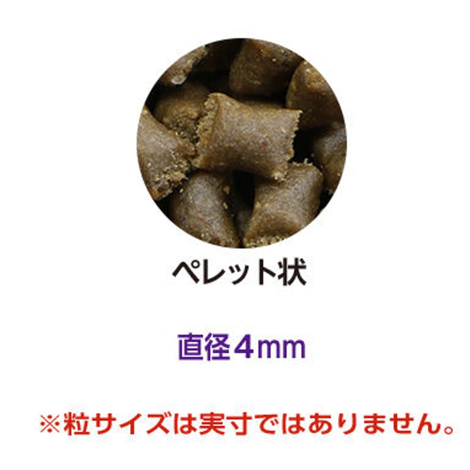 62144f46bc44dc7c008eff2e
