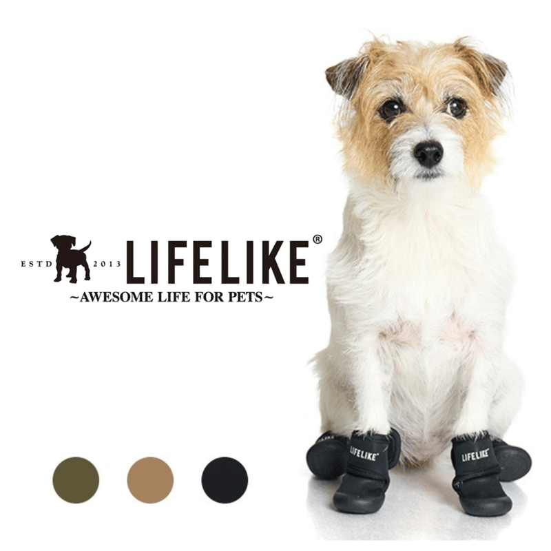 Puppyページです。 LIFELIKE ライフライク ダブルストラップシューズ | PETBOX