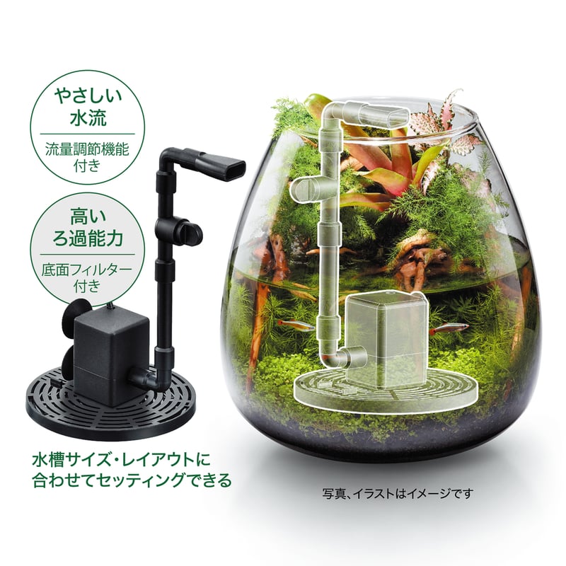 GEX ピコロカ 120g | PETBOXオンラインストア