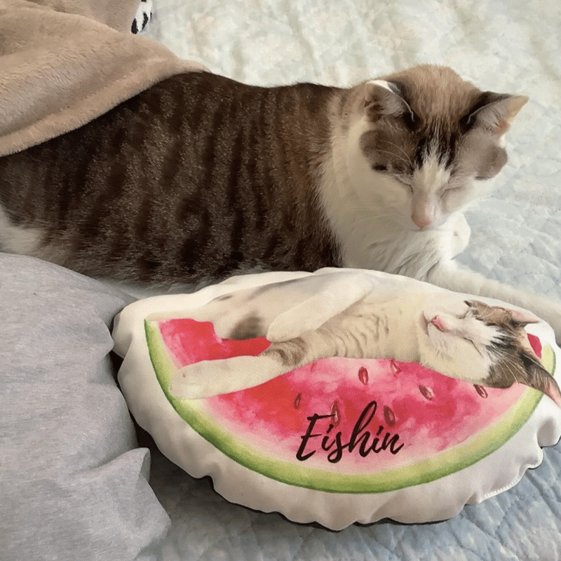 オーダーメイド】 うちのこグッズ | PETBOXオンラインストア