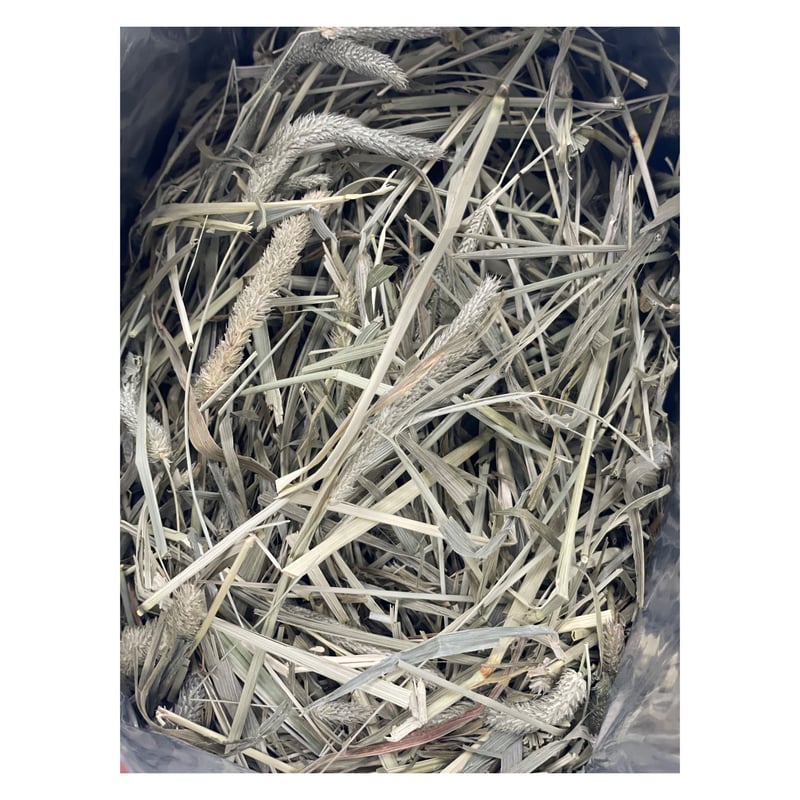 れい様　プレミアムチモシーペレット　5kg れい様 プレミアムチモシーペレット 5kg スーパープレミアム