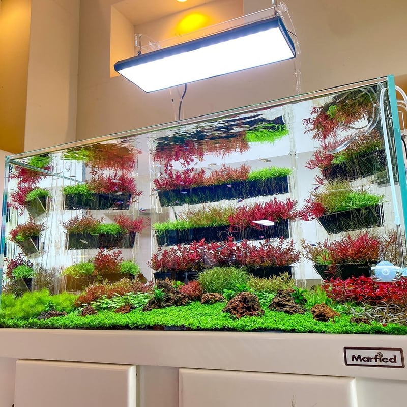 Neutral（S）tand アースハンガーネオ水深45cm用 | PETBOX