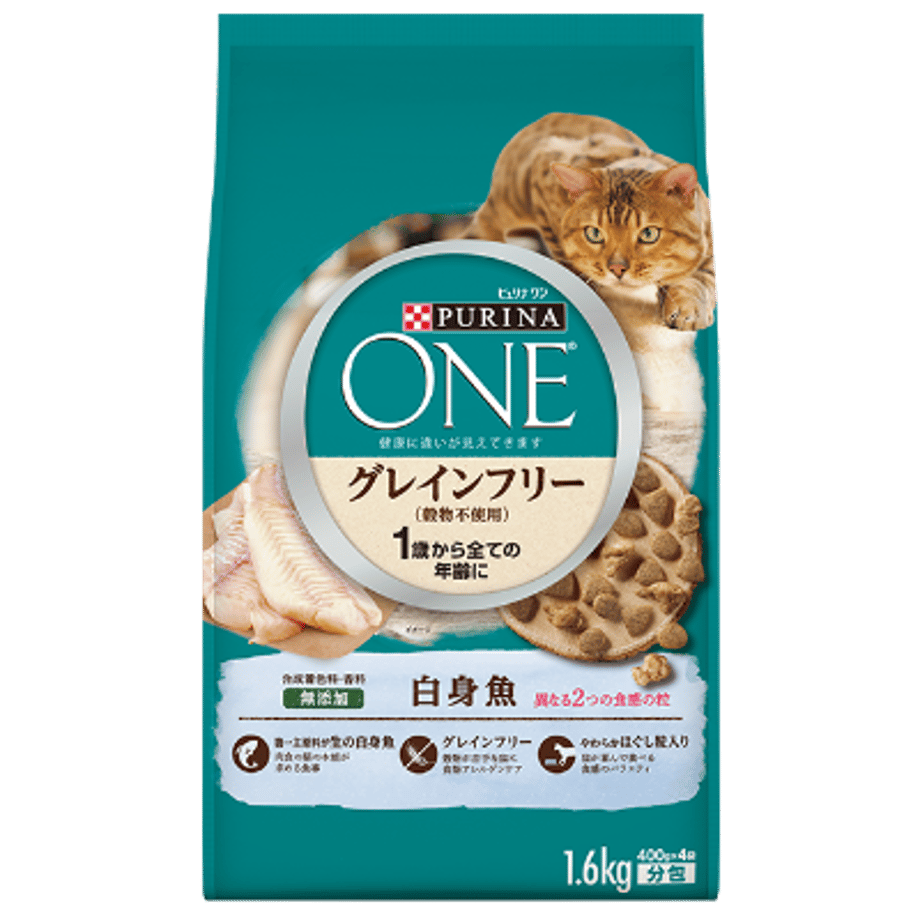62a992a1c359a8607a64dd00