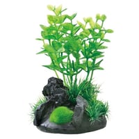 癒し水景　アクアキャンバス　ロタラ