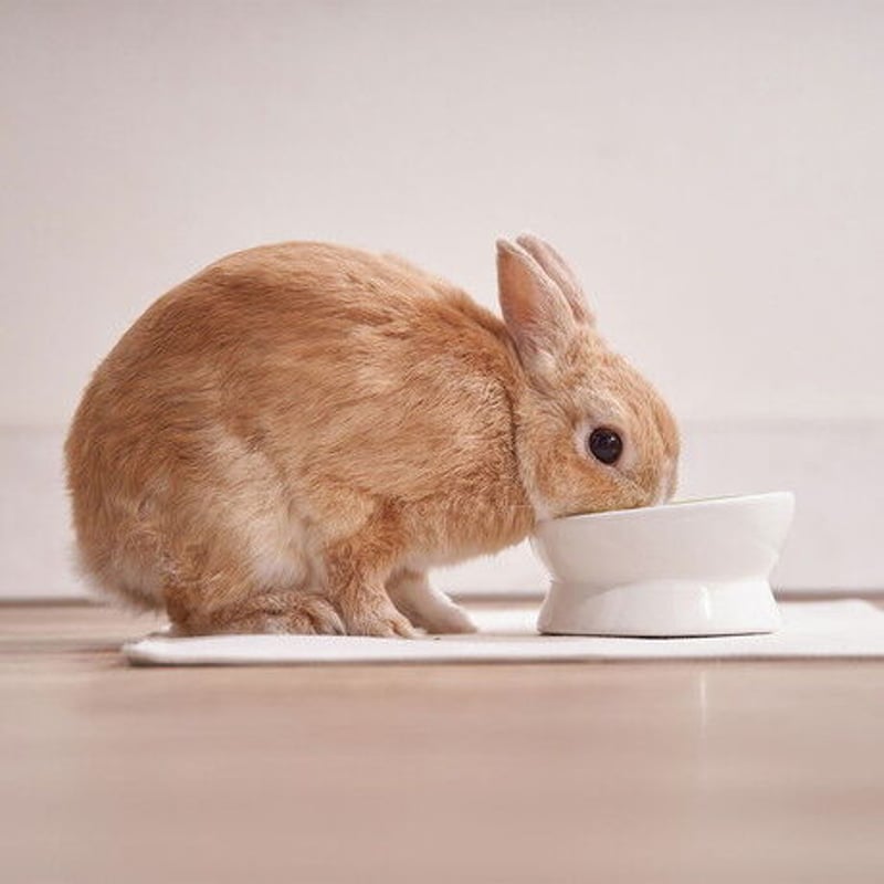 ヘレ ンドメニュースタンド(うさぎ)2個 ヘレンド メニュースタンド(うさぎ)