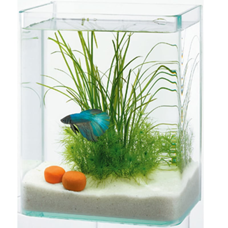 水作 ベタ・ストーン | PETBOXオンラインストア