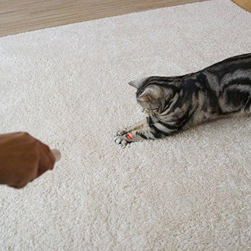 LEDニャンだろー？！光線 | PETBOXオンラインストア