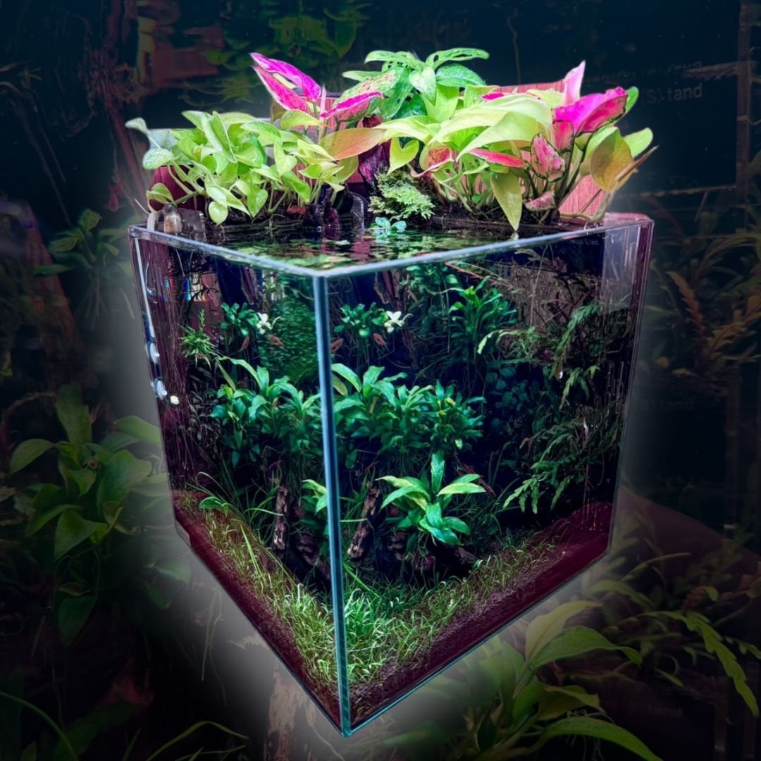 Earthhanger”NEO” S/M | PETBOXオンラインストア