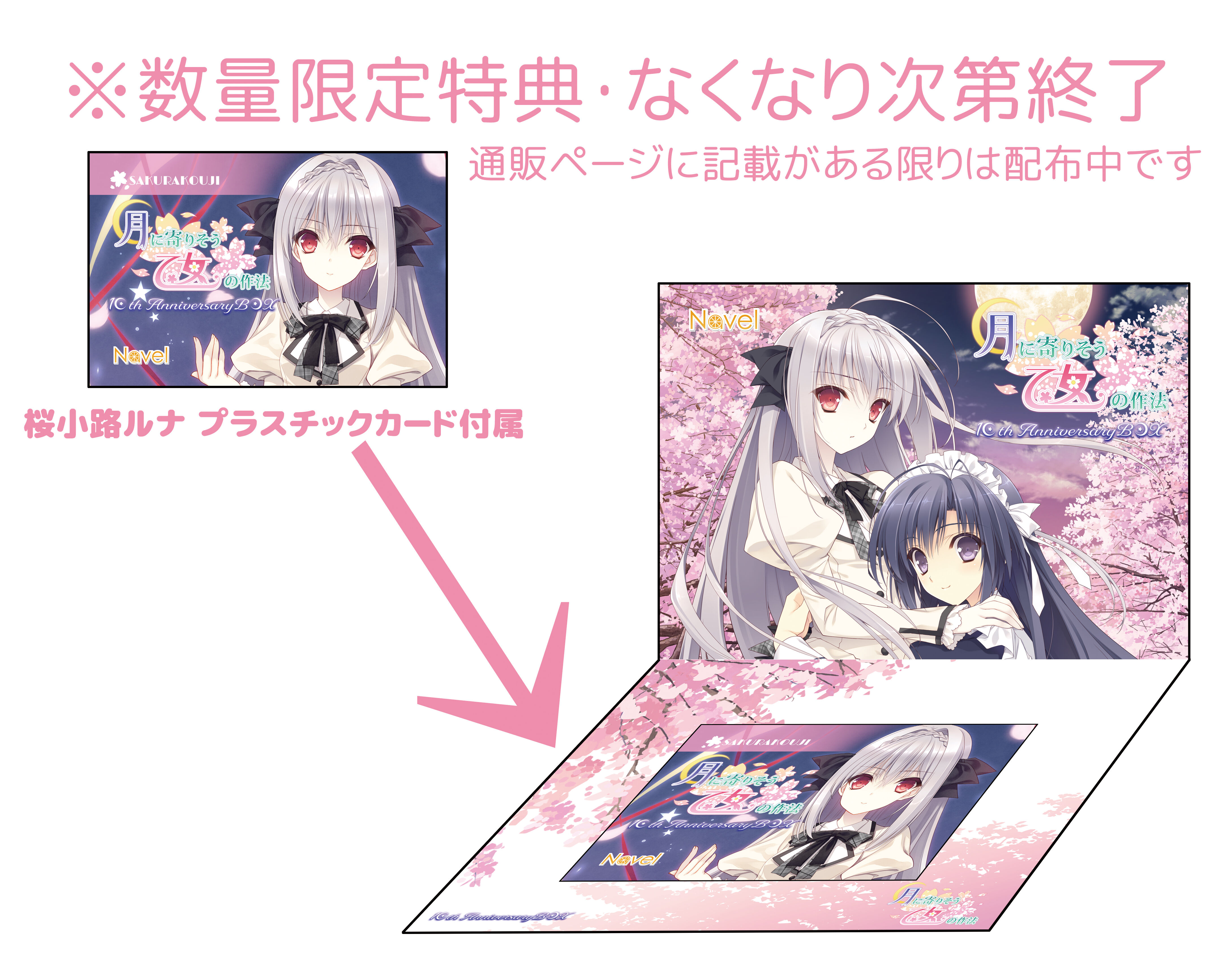 月に寄りそう乙女の作法　桜小路ルナ　大蔵りそな　キャンパスアート　つり乙 original