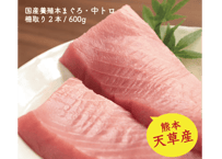天草産！養殖本まぐろ・中トロ2本 600g