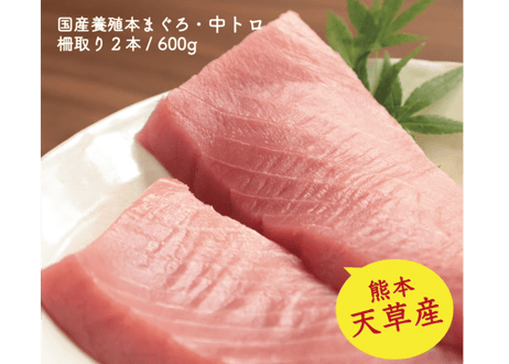 天草産！養殖本まぐろ・中トロ2本 600g