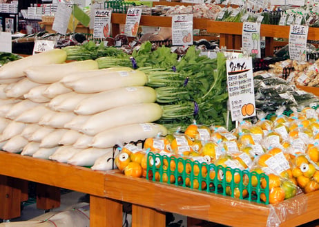 新鮮！熊本産季節野菜の詰め合わせ スタンダードな野菜から珍しい野菜まで『とれたて』を8〜10品・4名様用お届けいたします。野菜の《 味 》をお楽しみください