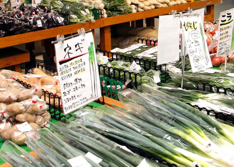 新鮮！熊本産季節野菜の詰め合わせ スタンダードな野菜から珍しい野菜まで『とれたて』を8〜10品・4名様用お届けいたします。野菜の《 味 》をお楽しみください