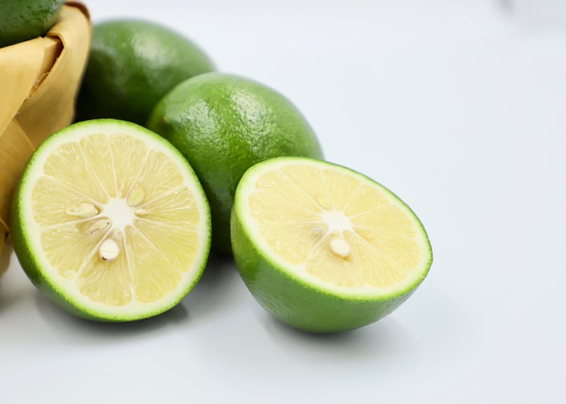 熊本県産グラントレモン 2kg（約15玉前後） 穏やかな不知火海の潮風と