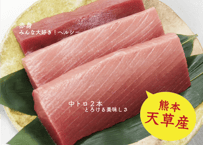 天草産！養殖本まぐろ・中トロ2本 + 赤身1本（900g）たっぷりサイズ