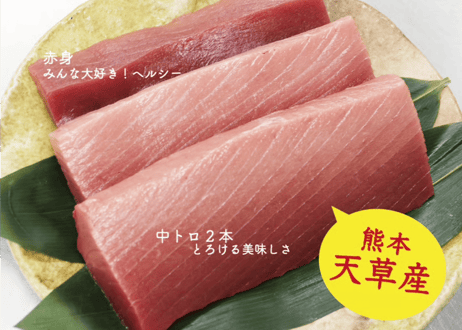 天草産！養殖本まぐろ・中トロ2本 + 赤身1本（900g）たっぷりサイズ