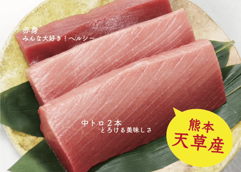 天草産！養殖本まぐろ・中トロ2本 + 赤身1本（900g）たっぷりサイズ