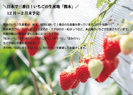 【フルーツ定期便】熊本の採れたてフルーツお届けします！６ヶ月間に４回・合計４商品お届け