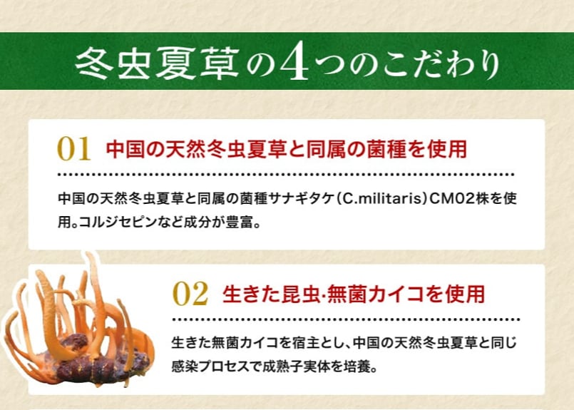 ロータス九州ドットコム//【送料無料】中国三大重要漢方の1つ ロータス九州ドットコム//【送料無料】中国三大重要漢方の1つ