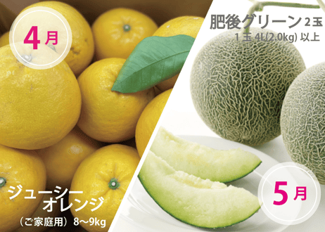 【フルーツ定期便】熊本の採れたてフルーツお届けします！６ヶ月間に４回・合計４商品お届け
