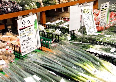 新鮮！熊本産季節野菜の詰め合わせ スタンダードな野菜から珍しい野菜まで『とれたて』を5品・2名様用お届けいたします。野菜の《 味 》をお楽しみください