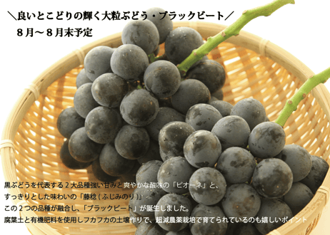 【フルーツ定期便】熊本の採れたてフルーツお届けします！６ヶ月間に４回・合計４商品お届け