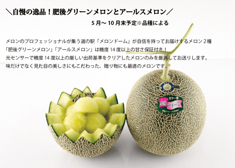 【フルーツ定期便】熊本の採れたてフルーツお届けします！６ヶ月間に４回・合計４商品お届け