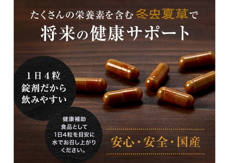 ロータス九州ドットコム//【送料無料】中国三大重要漢方の1つ、熊本県産 冬虫夏草(ﾄｳﾁｭｳｶｿｳ)サナギダケ100%