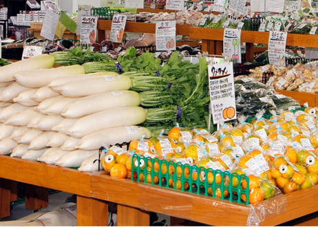 新鮮！熊本産季節野菜の詰め合わせ スタンダードな野菜から珍しい野菜まで『とれたて』を5品・2名様用お届けいたします。野菜の《 味 》をお楽しみください