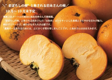 【フルーツ定期便】熊本の採れたてフルーツお届けします！６ヶ月間に４回・合計４商品お届け