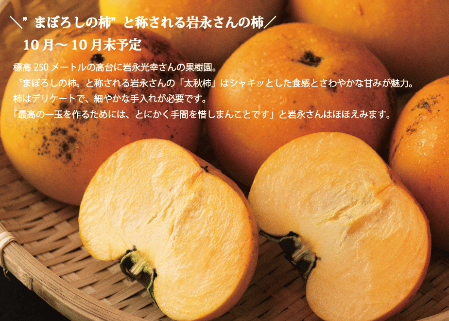 6178c4b77d5d817ff06a0e3f