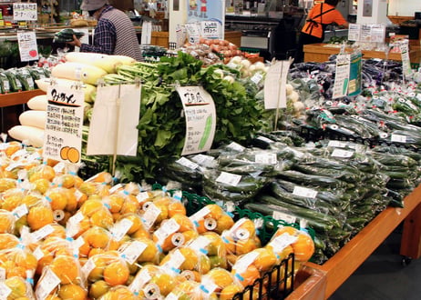 新鮮！熊本産季節野菜の詰め合わせ スタンダードな野菜から珍しい野菜まで『とれたて』を5品・2名様用お届けいたします。野菜の《 味 》をお楽しみください