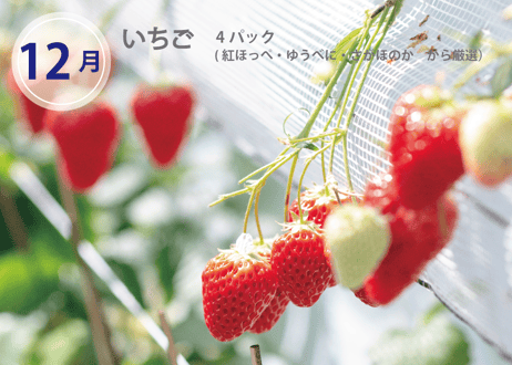 【フルーツ定期便】熊本の採れたてフルーツお届けします！６ヶ月間に４回・合計４商品お届け