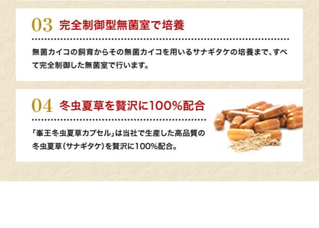 ロータス九州ドットコム//【送料無料】中国三大重要漢方の1つ、熊本県産 冬虫夏草(ﾄｳﾁｭｳｶｿｳ)サナギダケ100%