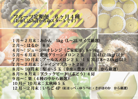 【フルーツ定期便】熊本の採れたてフルーツお届けします！６ヶ月間に４回・合計４商品お届け