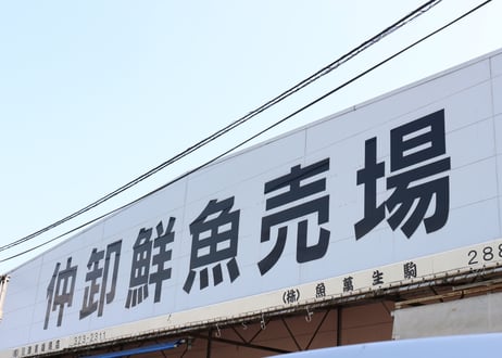 田崎市場直送　九州鮮魚BOX3kg　新鮮仕入れ日に発送！