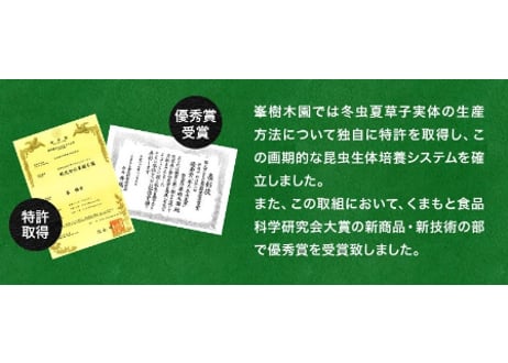 ロータス九州ドットコム//【送料無料】中国三大重要漢方の1つ、熊本県産 冬虫夏草(ﾄｳﾁｭｳｶｿｳ)サナギダケ100%