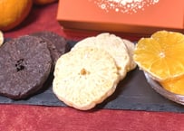 熊本産デコオレンジ　PREMIUM CHOCOLATE