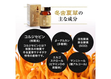 ロータス九州ドットコム//【送料無料】中国三大重要漢方の1つ、熊本県産 冬虫夏草(ﾄｳﾁｭｳｶｿｳ)サナギダケ100%