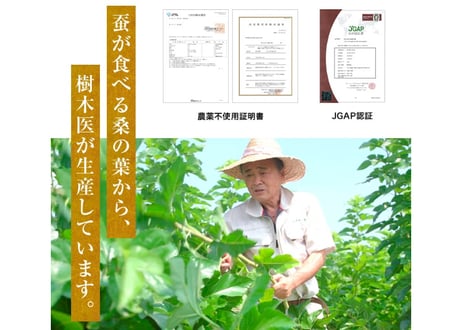 ロータス九州ドットコム//【送料無料】中国三大重要漢方の1つ、熊本県産 冬虫夏草(ﾄｳﾁｭｳｶｿｳ)サナギダケ100%