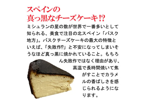 天草の人気店が作ったとっておきのチーズケーキ！天草バスクチーズケーキ